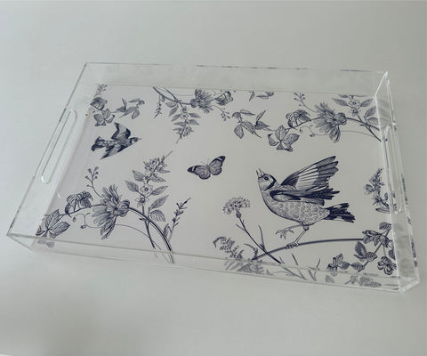 Endless possibilities acrylic tray -Birds Insert