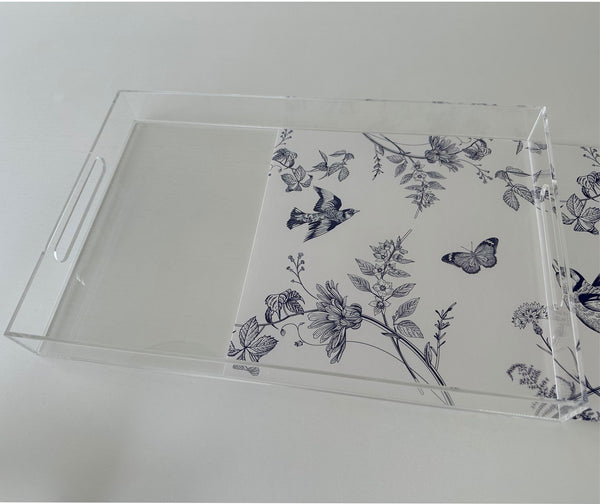 Endless possibilities acrylic tray -Birds Insert
