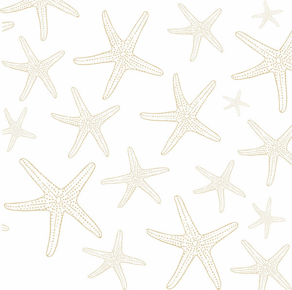 Placemats, Set of  12 Square 11 x 11 nautical, Gold Starfish