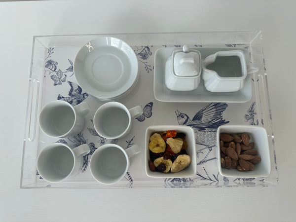 Endless possibilities acrylic tray -Birds Insert