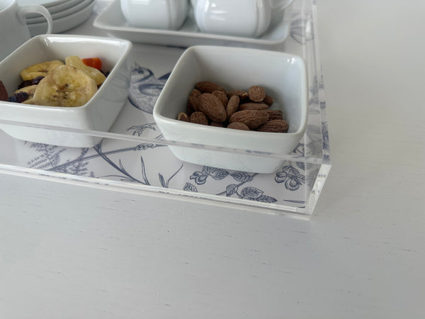 Endless possibilities acrylic tray -Birds Insert