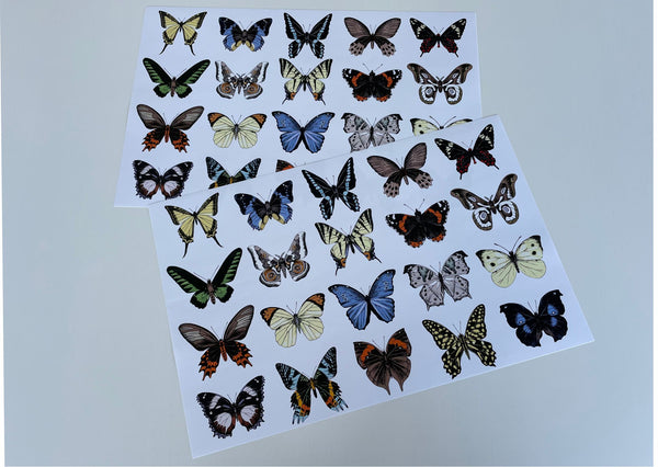 Butterflies Placemats