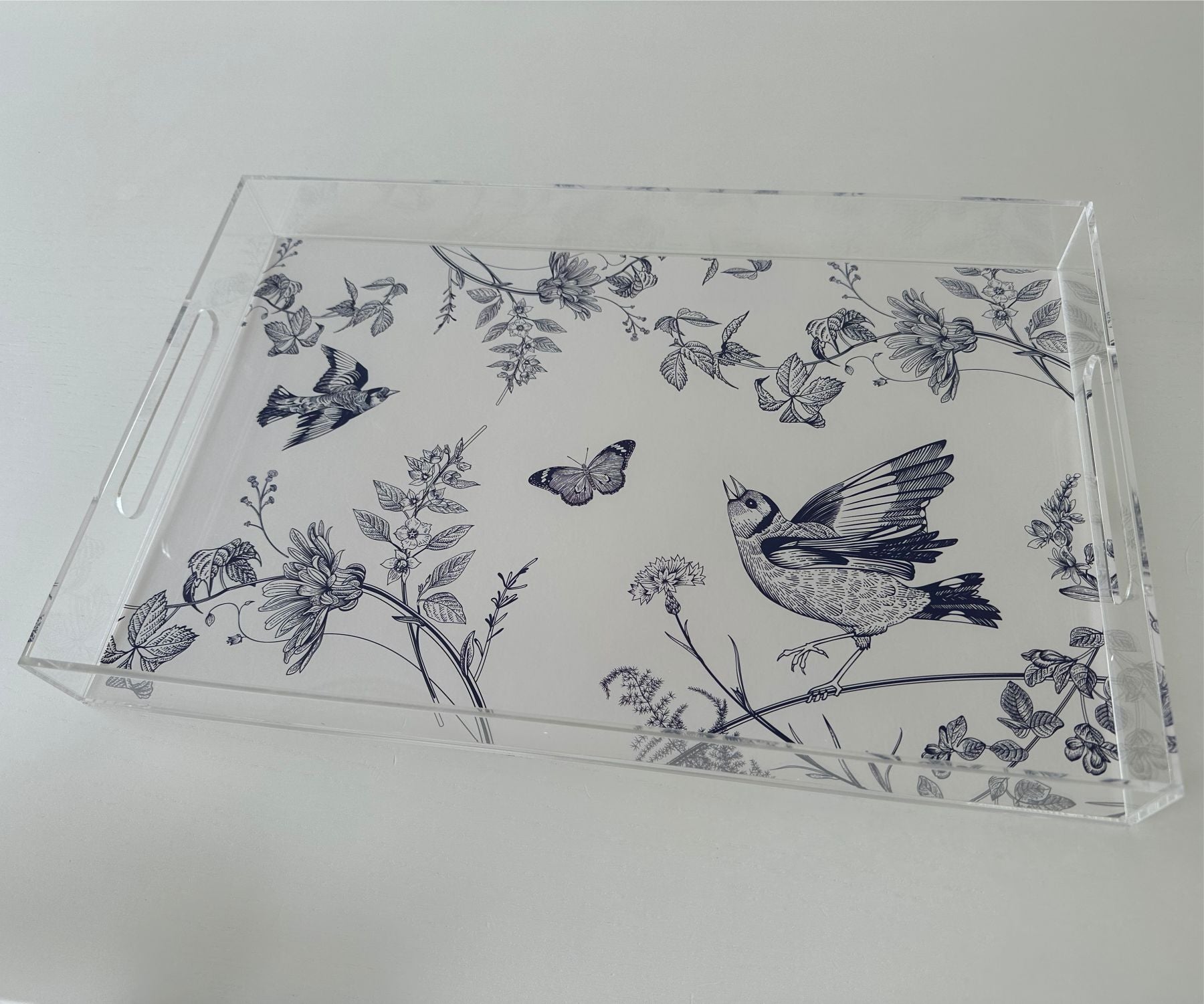 Endless possibilities acrylic tray -Birds Insert
