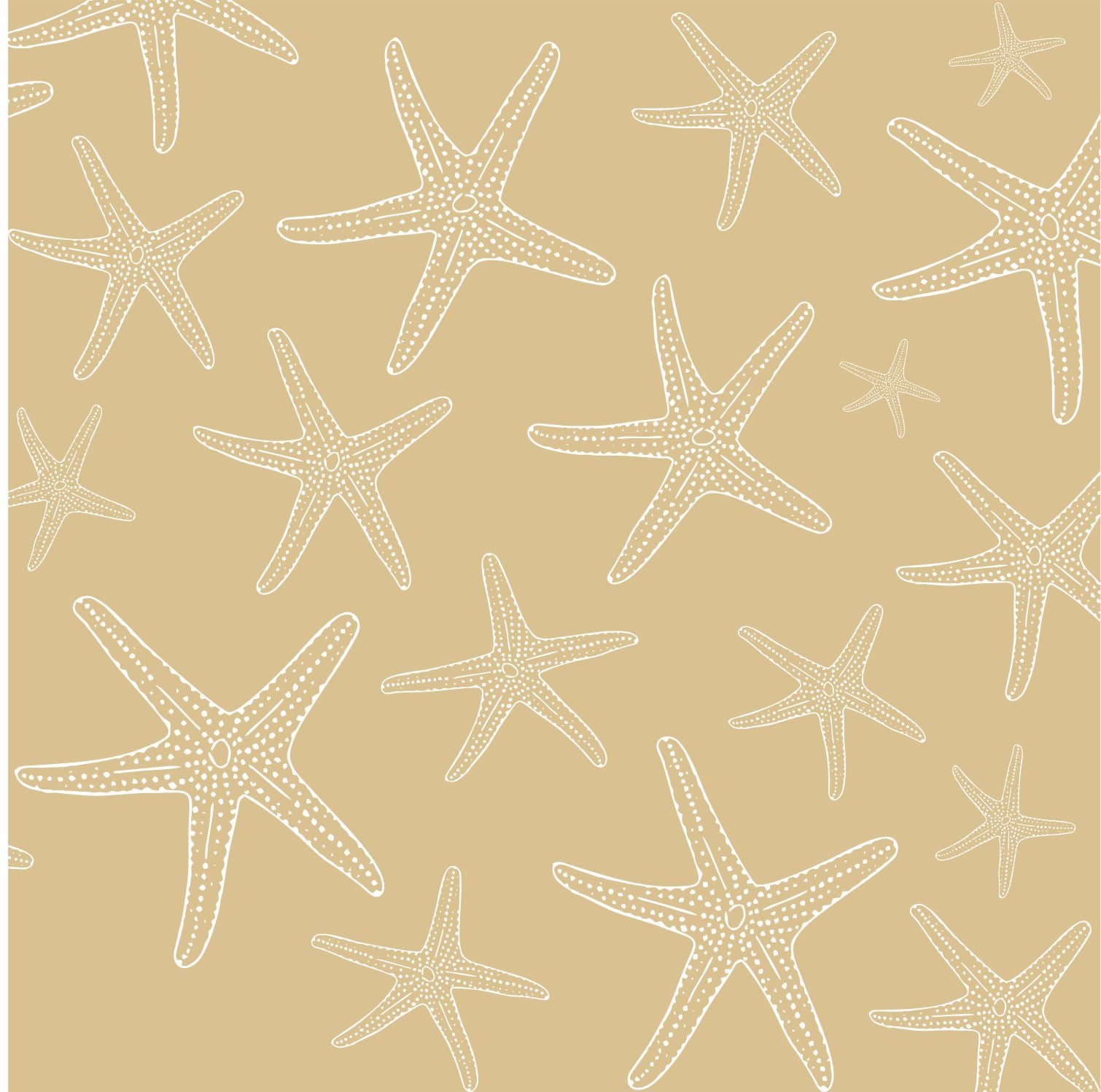 Placemats, Set of  12 Square 11 x 11 nautical, Brown and White Starfish