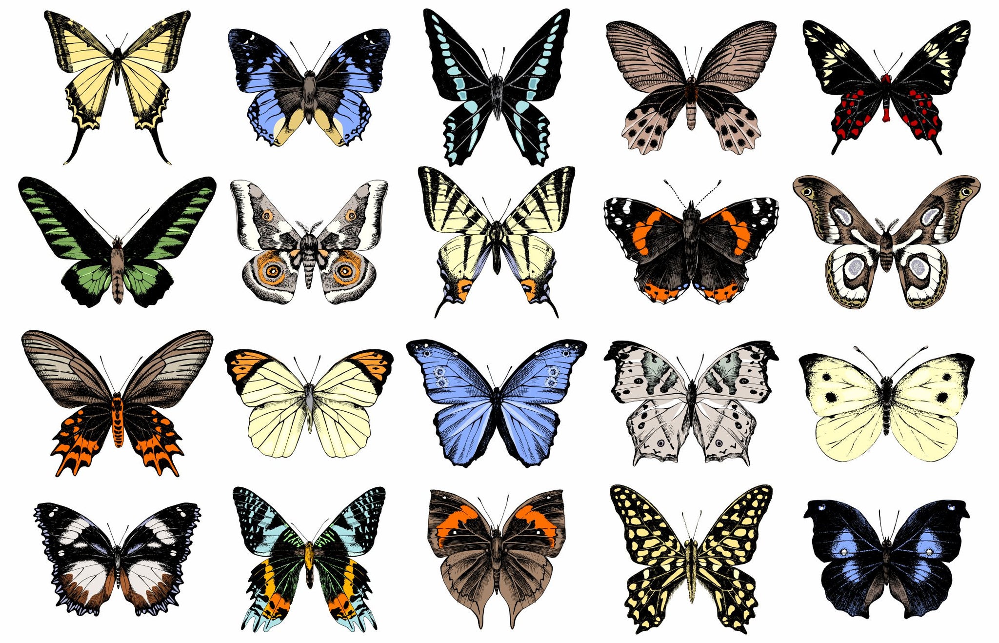 Butterflies Placemats