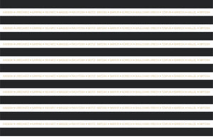 Passover placemats, black stripes, Set of 12 paper placemats